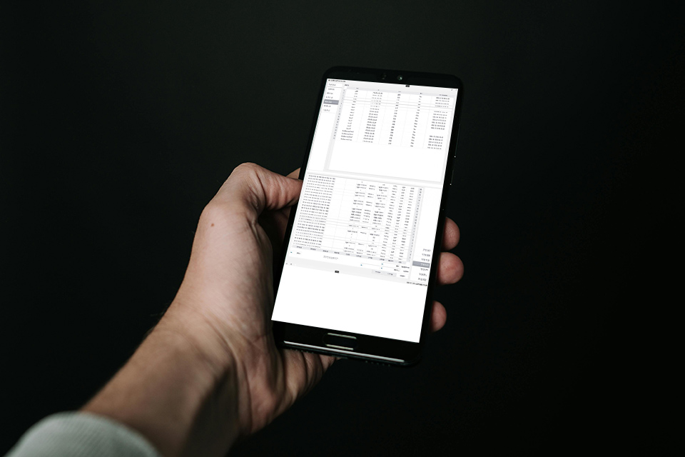 智能终端(APP)
